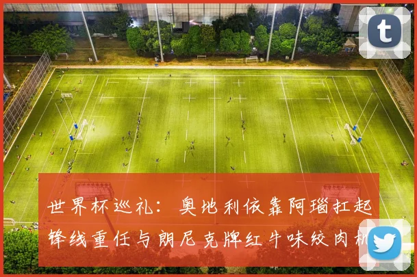 世界杯巡礼：奥地利依靠阿瑙扛起锋线重任与朗尼克牌红牛味绞肉机的故事